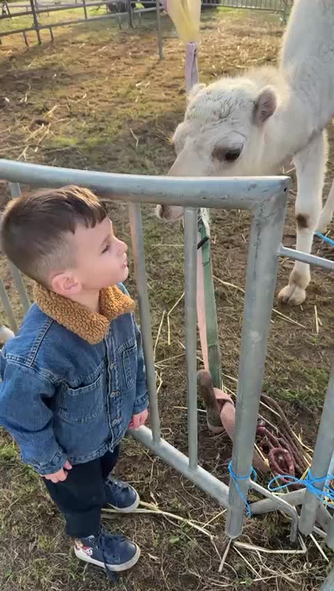 @Nello Chiariello
