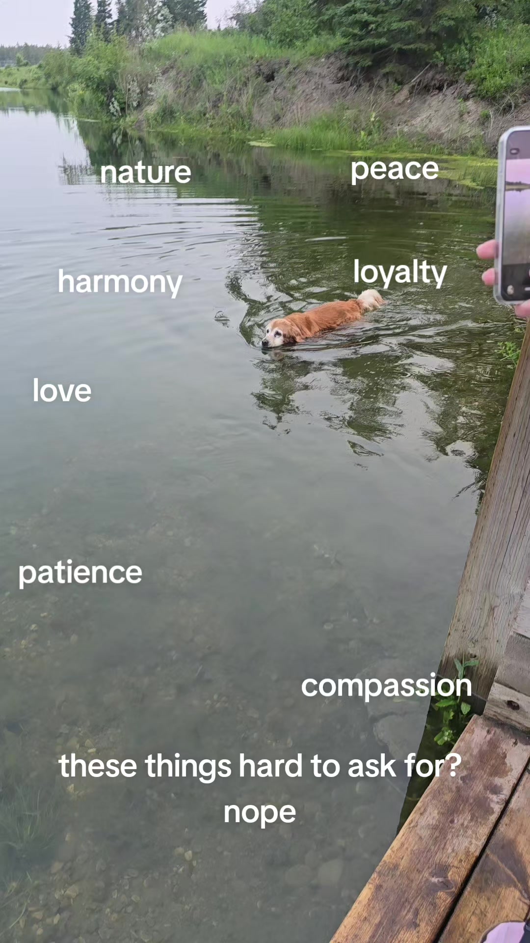 @Medium💜Spiritual-💜Kel💜