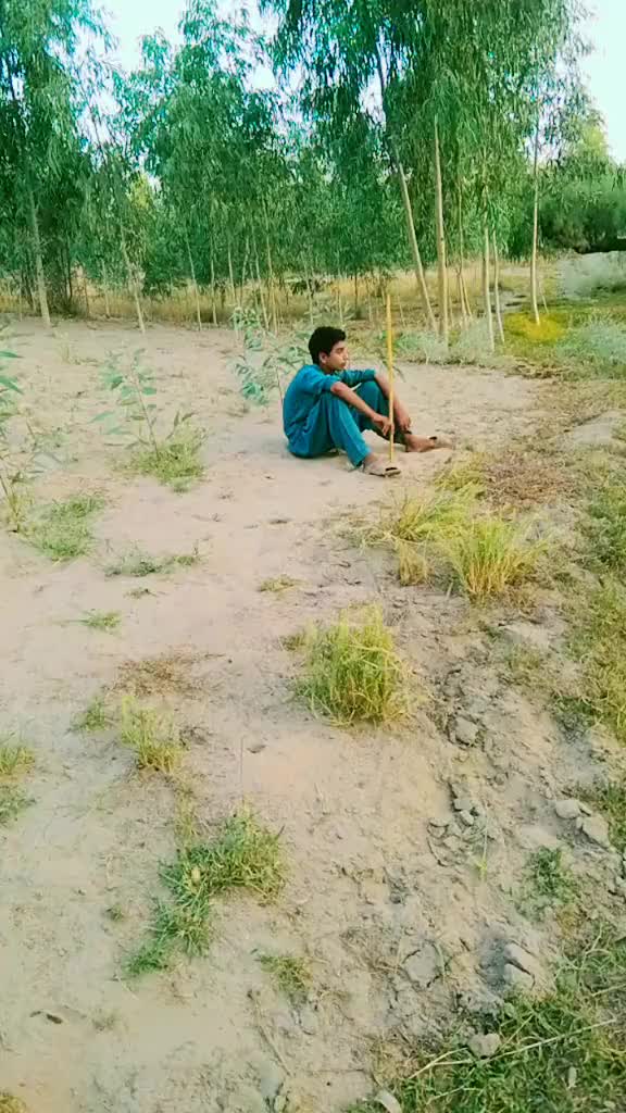 @GULMEER Dhuli 5211