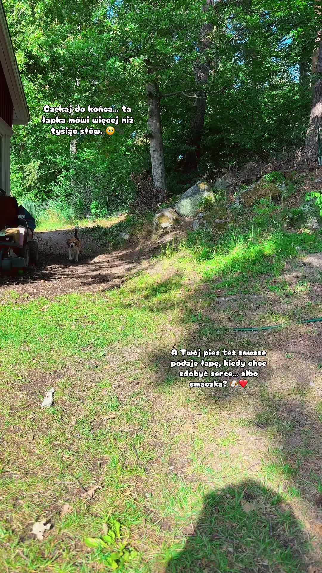 @🐾🌿kavirax12 🌿🐾