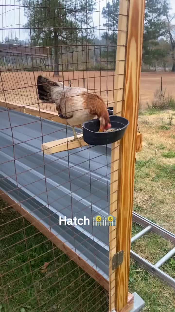 @HD&ensp;Gamefarm