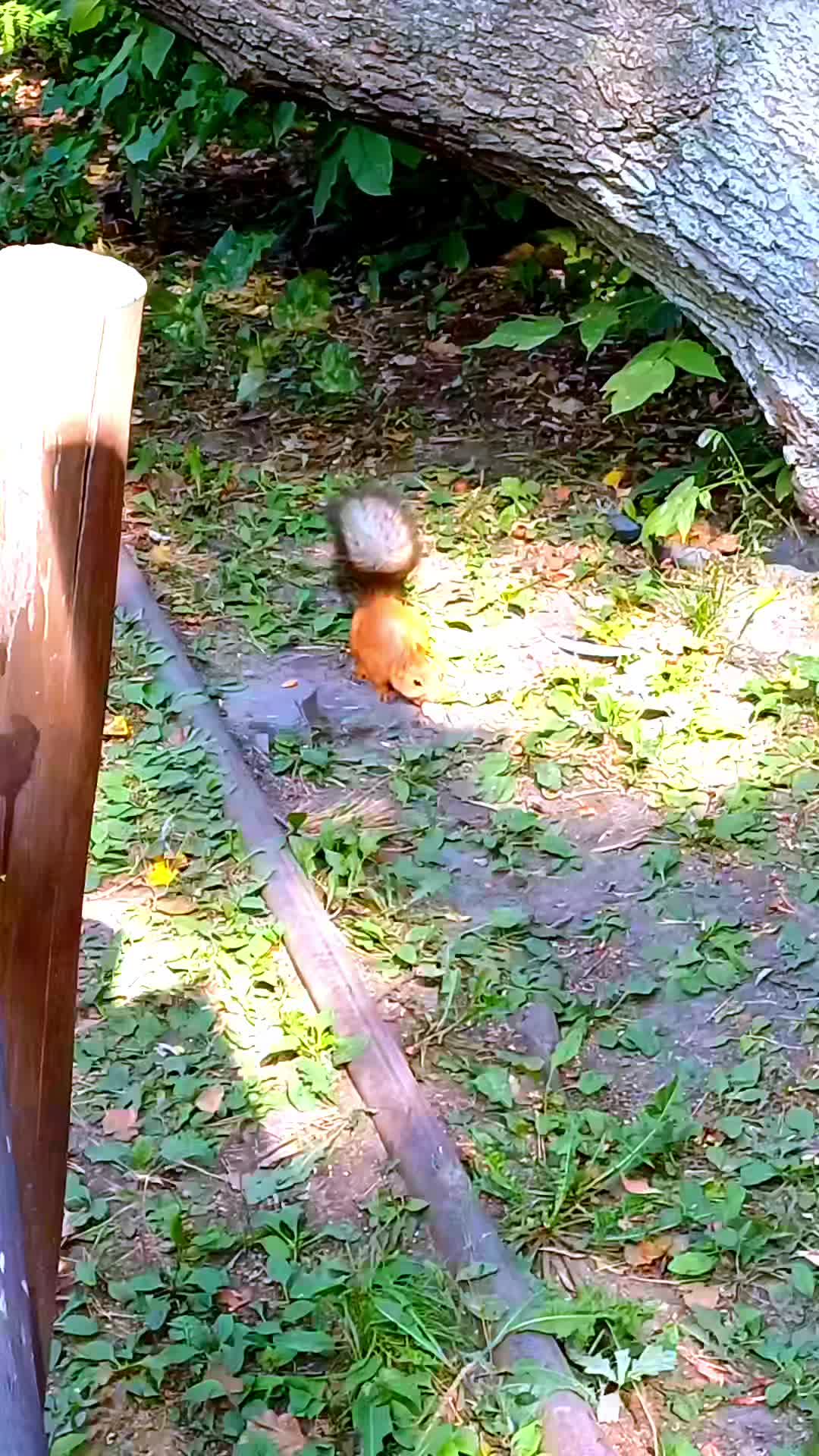@Шпулька 🤩