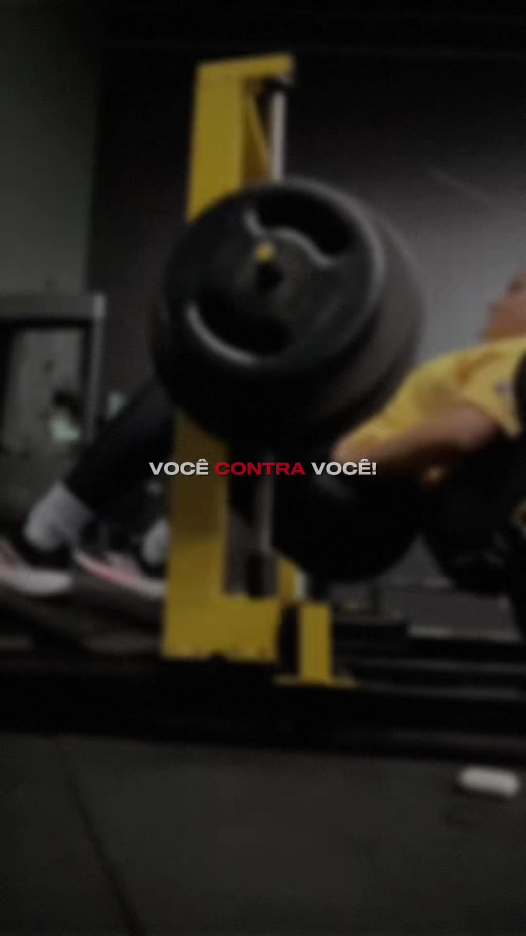 @Vanessa Freitas