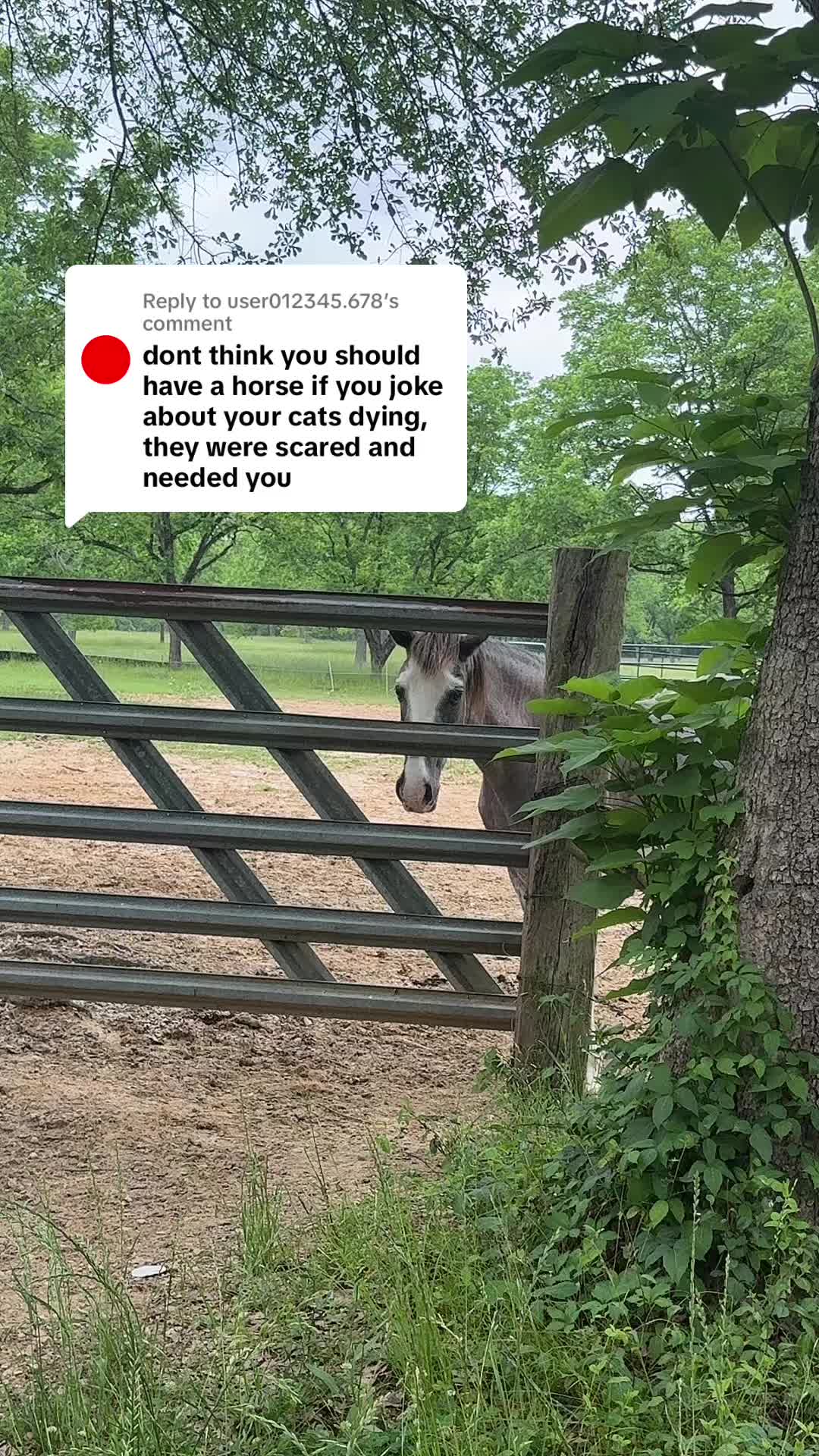 @Paige