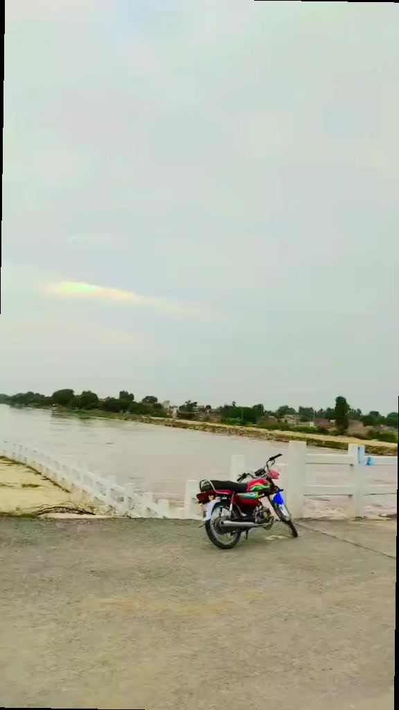@Mehar Majo🇵🇰