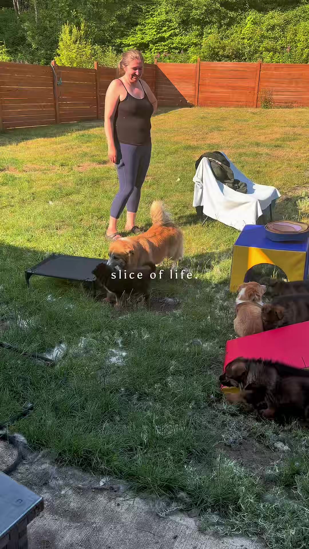 @kaska.olive.fira.roux