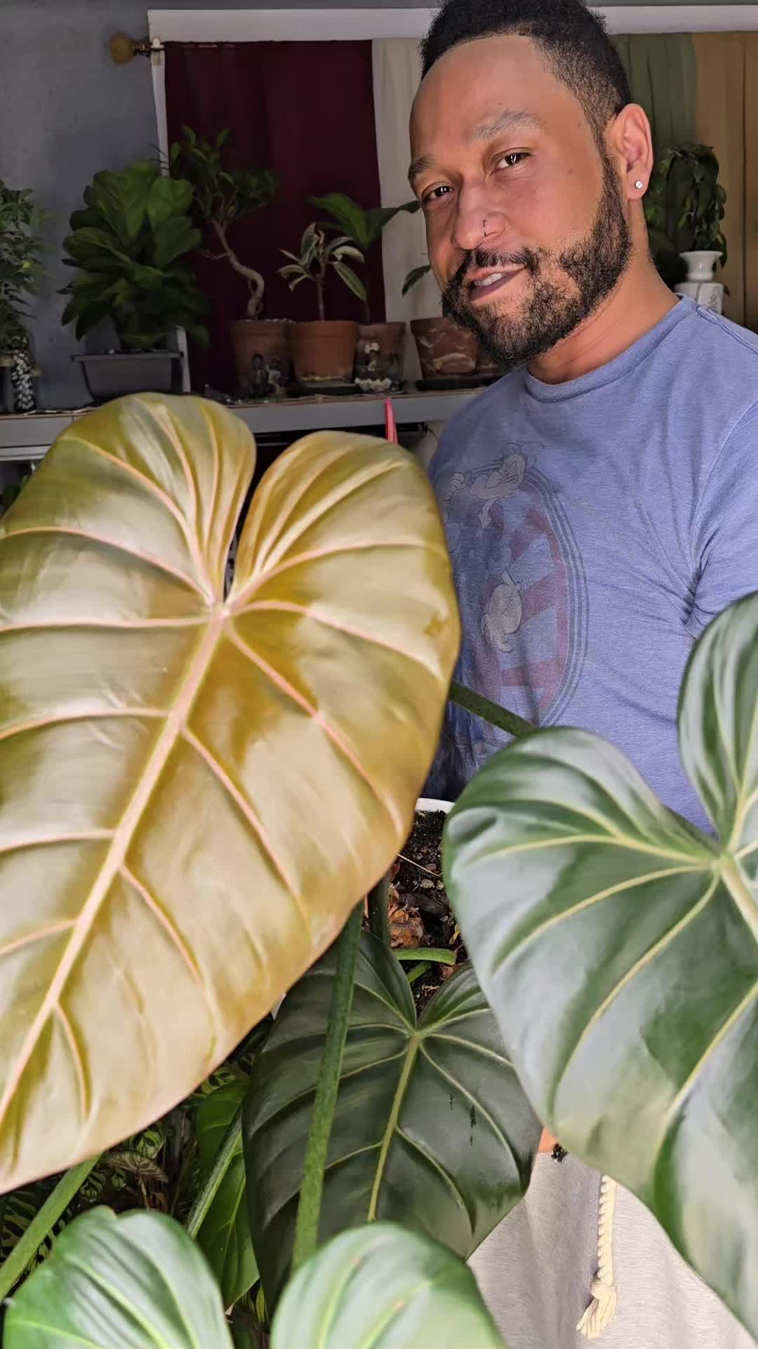 @JT - BigEGOPlants