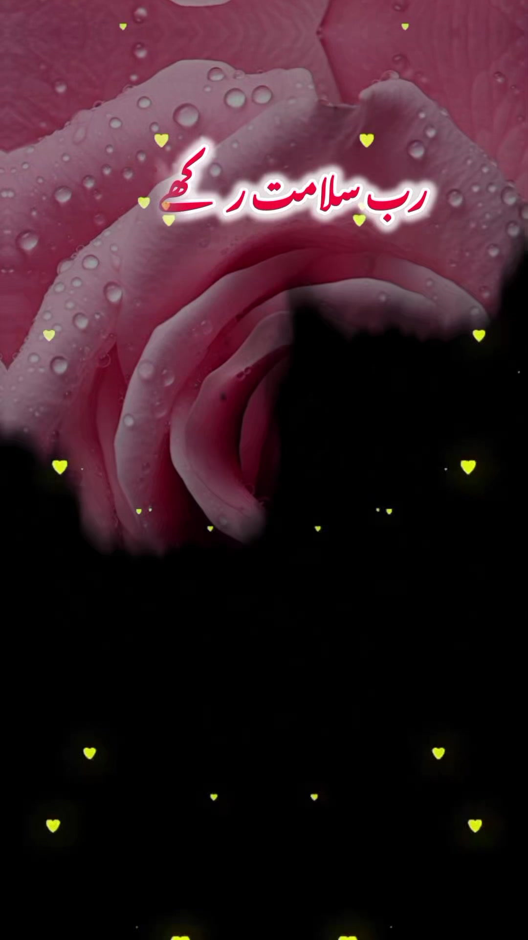 @𝐁𝐊𝐖𝐑𝐈𝐓𝐄𝐒 🫶🌹🦜