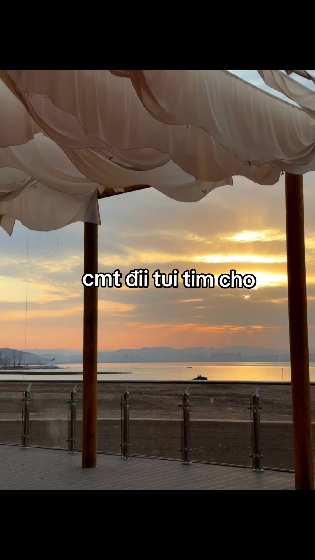 @mimi