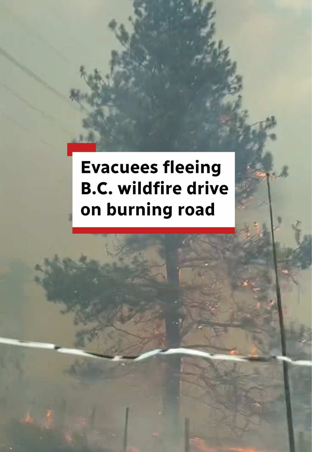 @CBC British Columbia