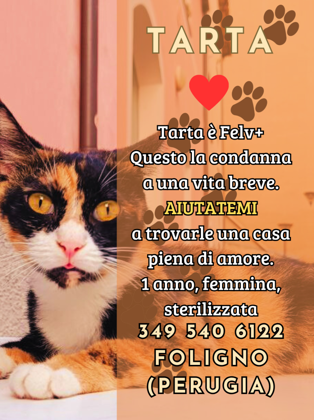 @Federica