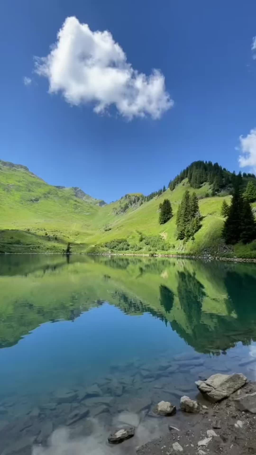 @TatuSwiss🇨🇭❤️🇳🇵