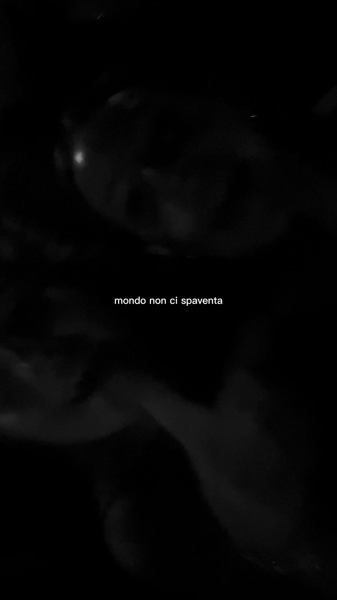 @arigallo_