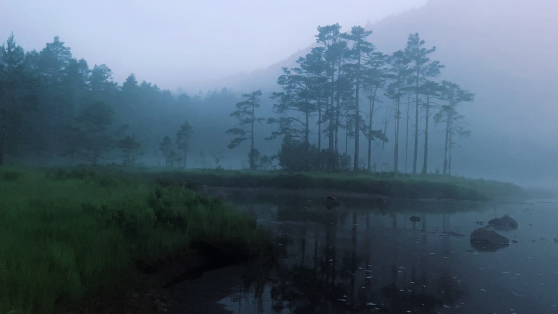 @Nature in Norway