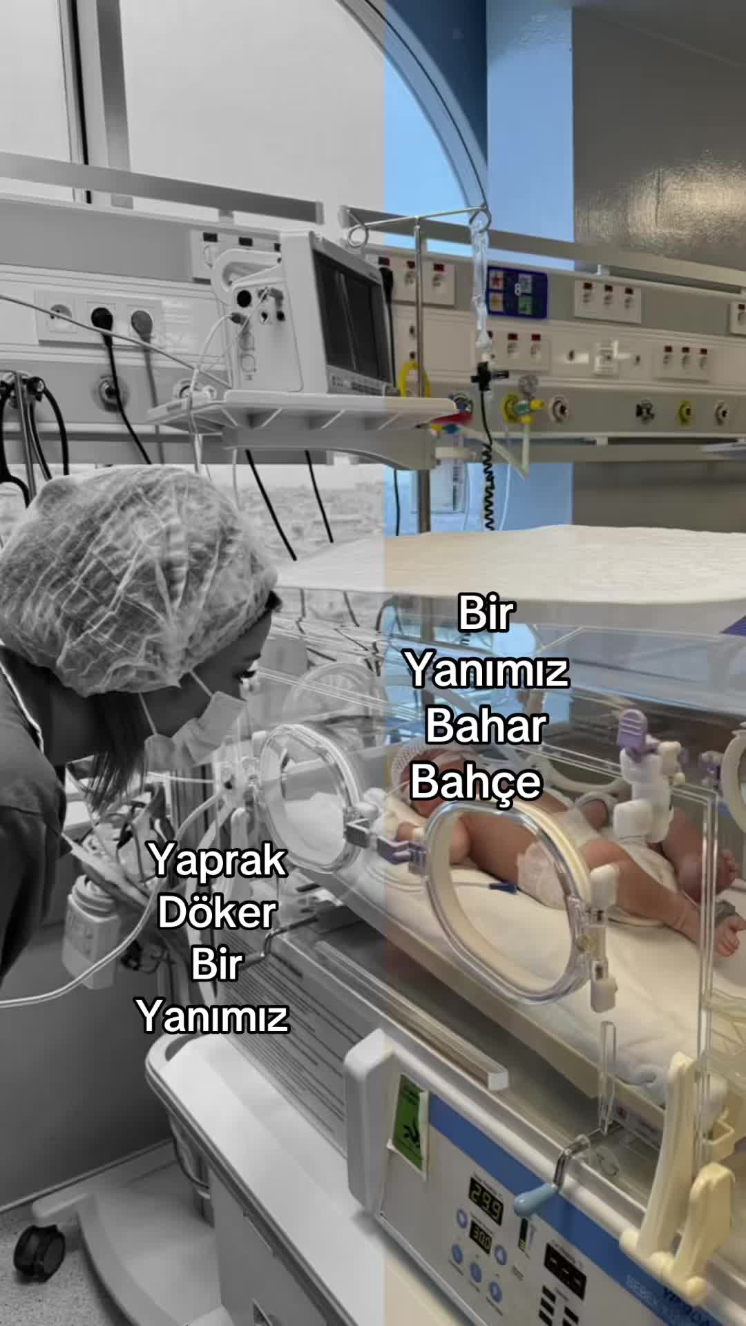 @Aleyna Demircioğlu