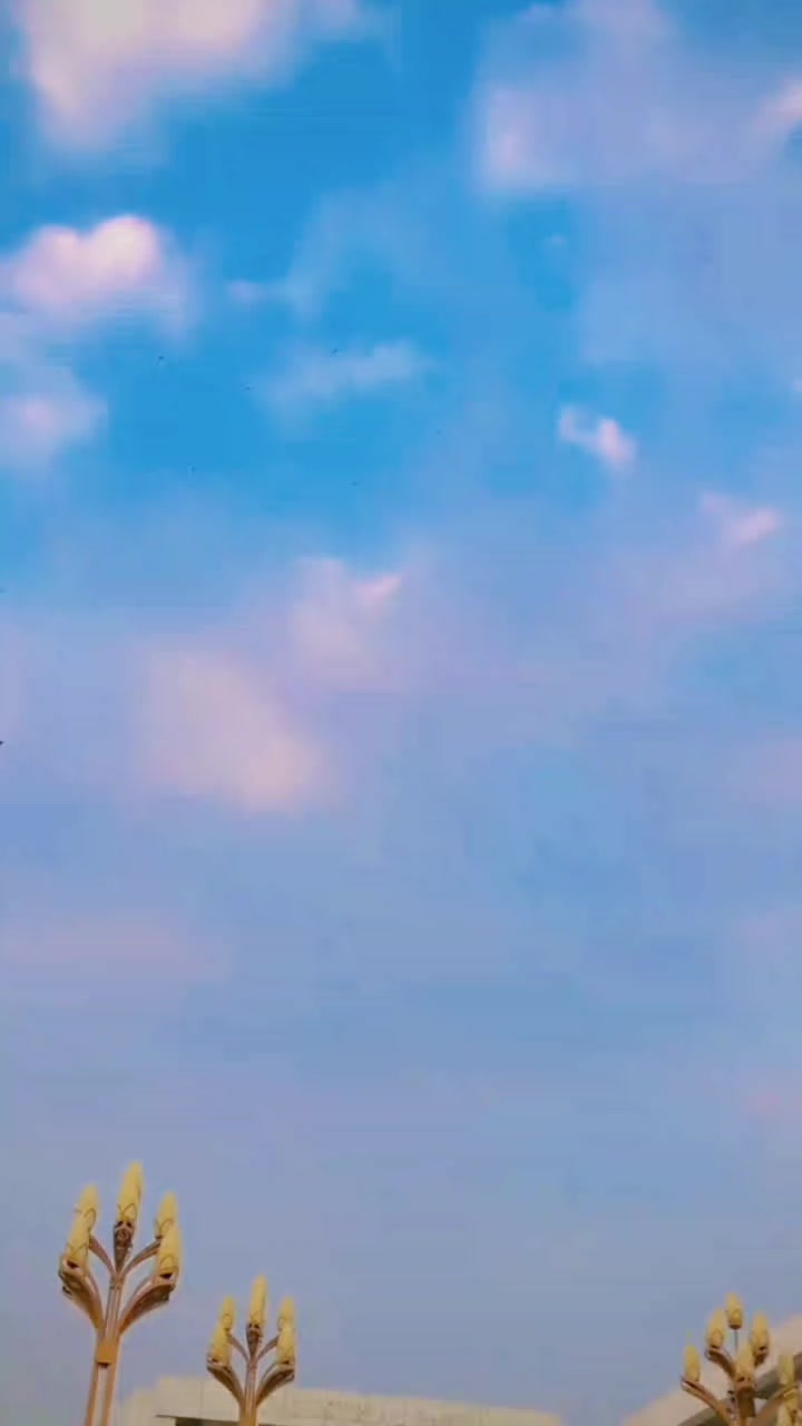 @▄︻デH̷a̷s̷e̷e̷b̷ ̷D̷a̷d̷a̷══━一