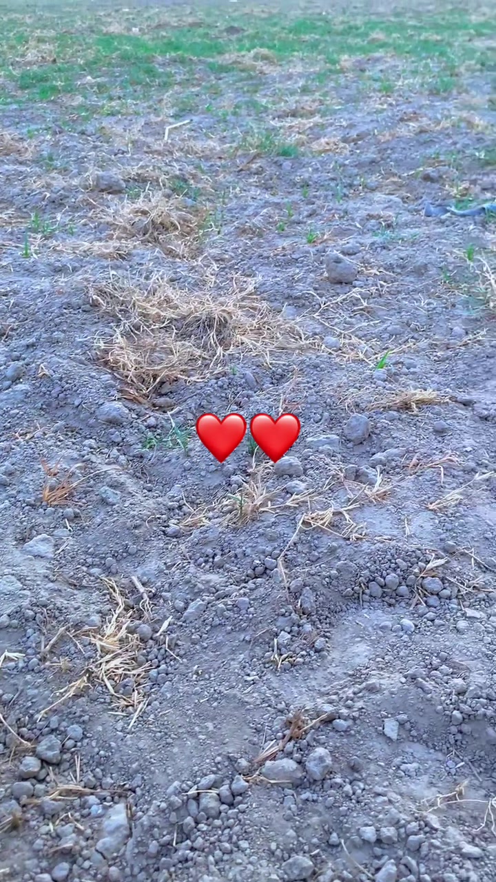 @𝒜𝓀𝓇𝒶𝓂 𝒞𝒽𝒶𝒹𝒹𝒽𝒶𝓇