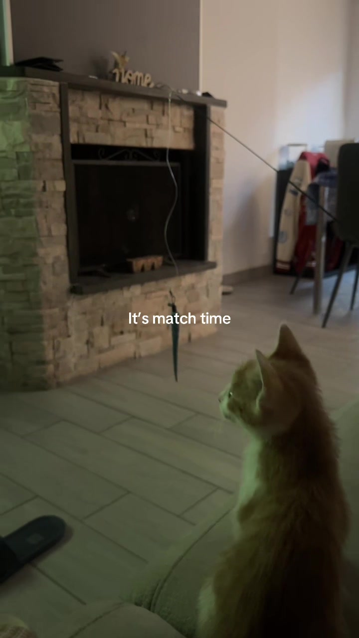 @𝒜𝓁𝑒𝓈𝓈𝒾𝒶
