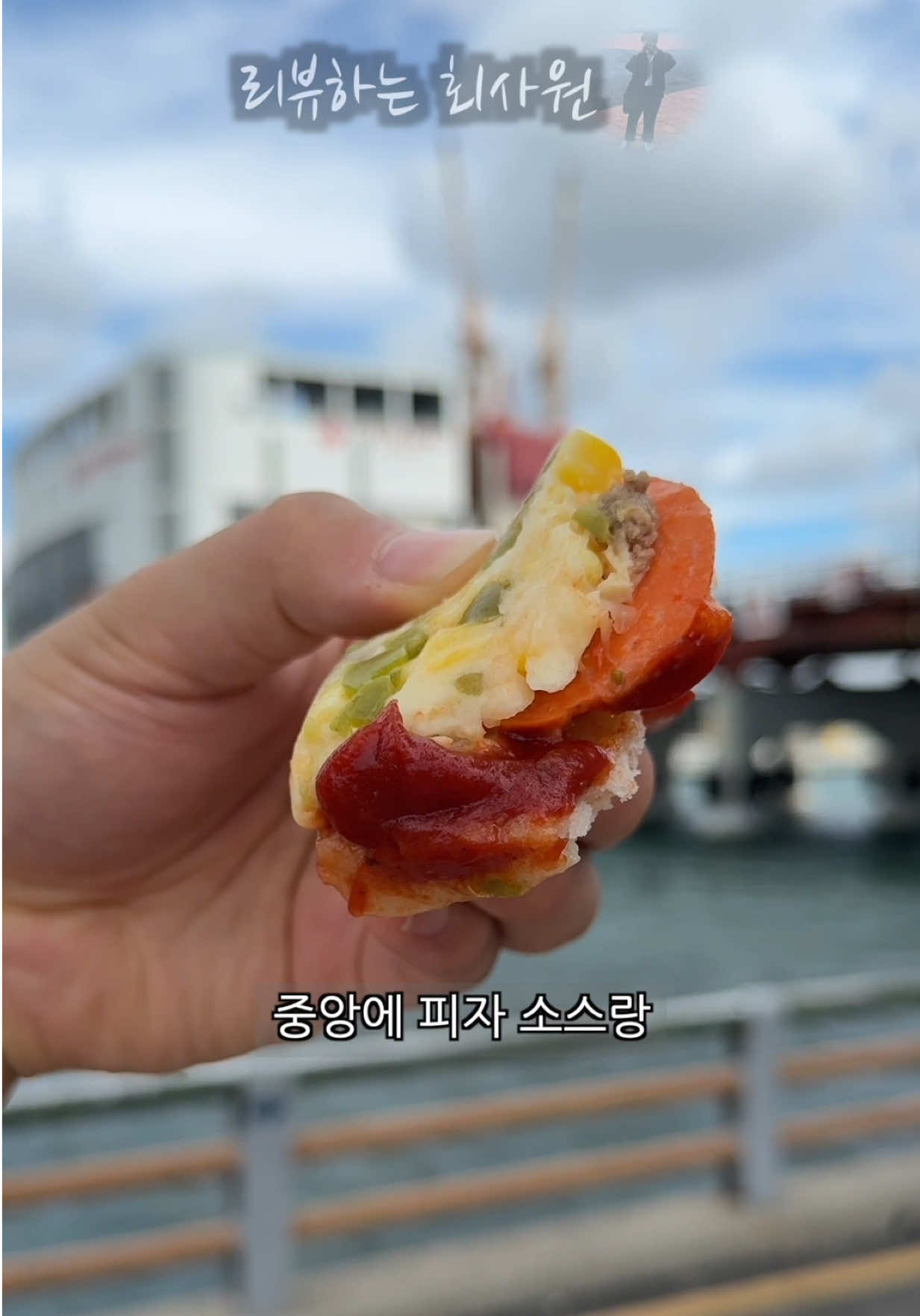 @리뷰하는회사원