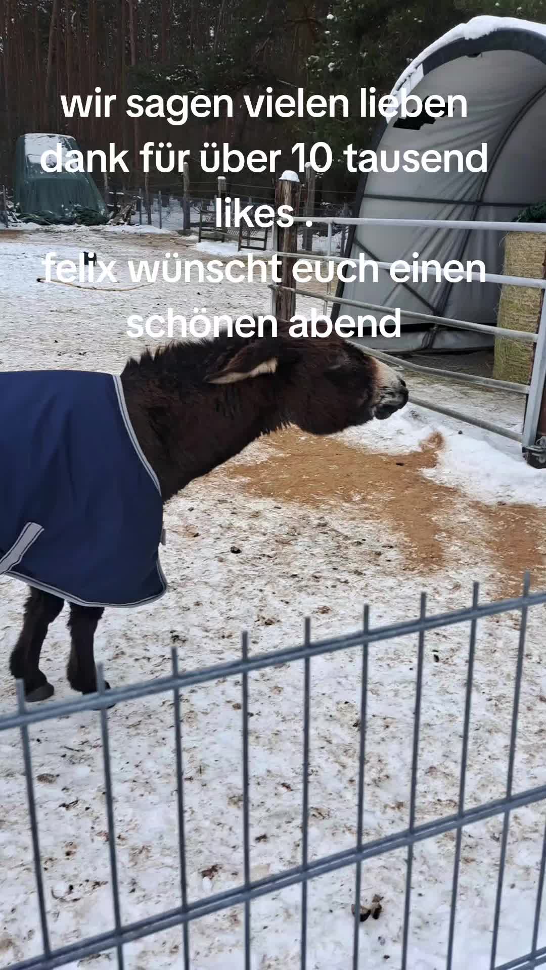 @Eselfreunde im Havelland e.V