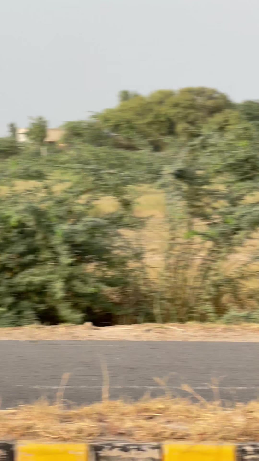 @M.HaSSaN 🇵🇰