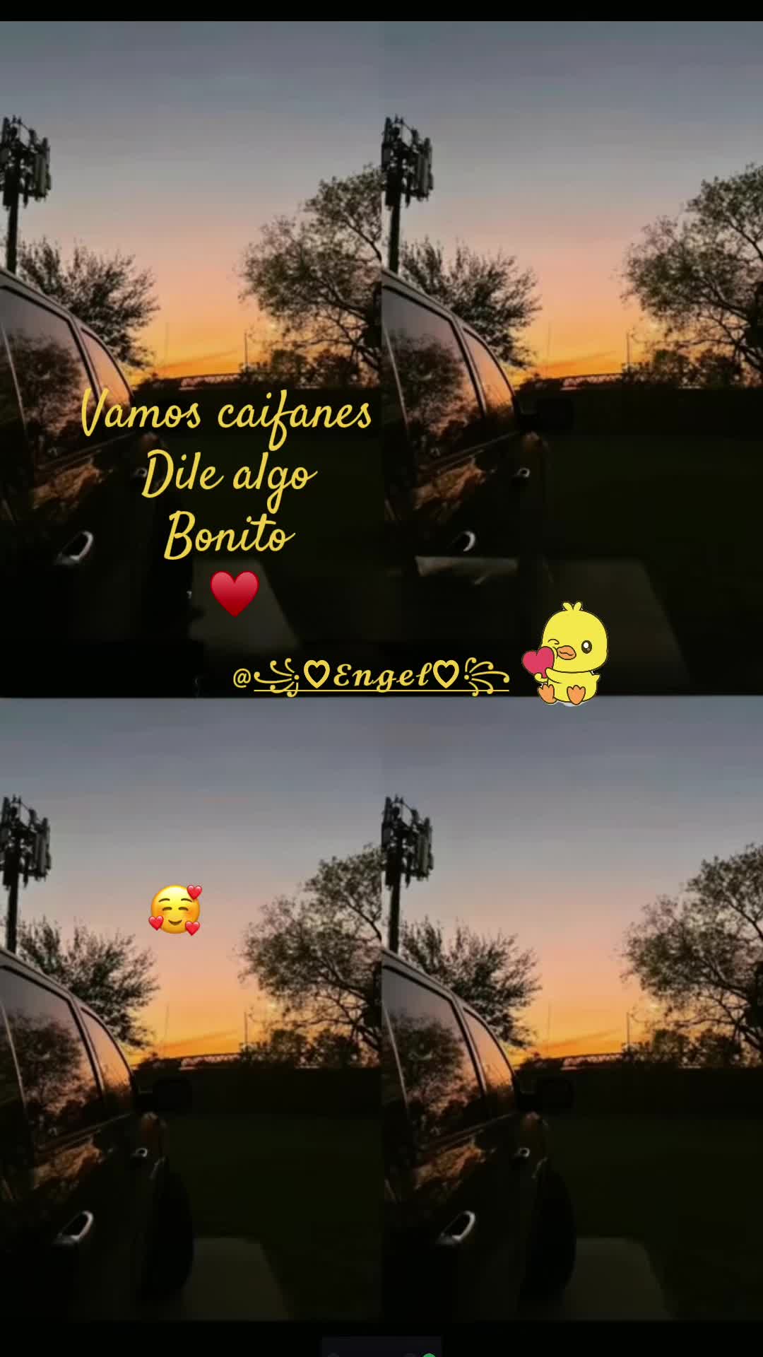 @ꨄ✿ᴋꫝᴛᴛʏ✿ꨄ