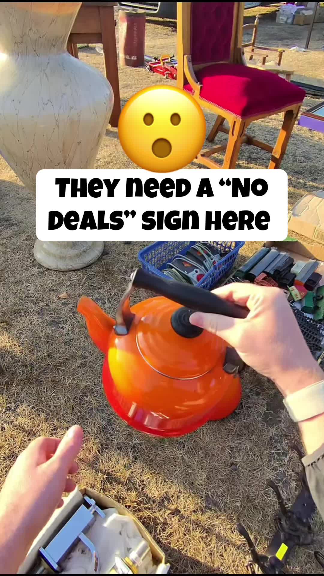 @cal_flips1