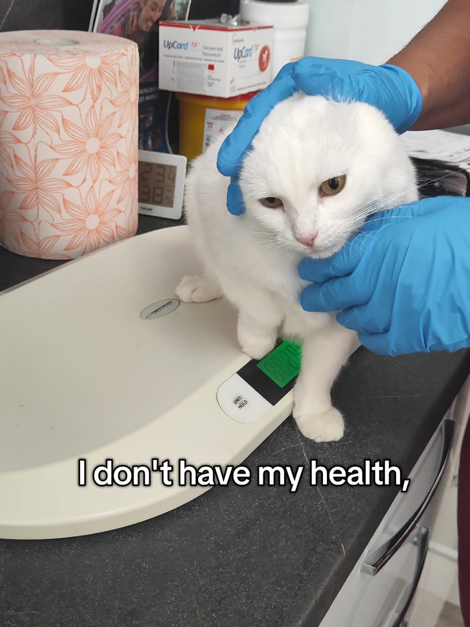 @Fluffy and Pixie