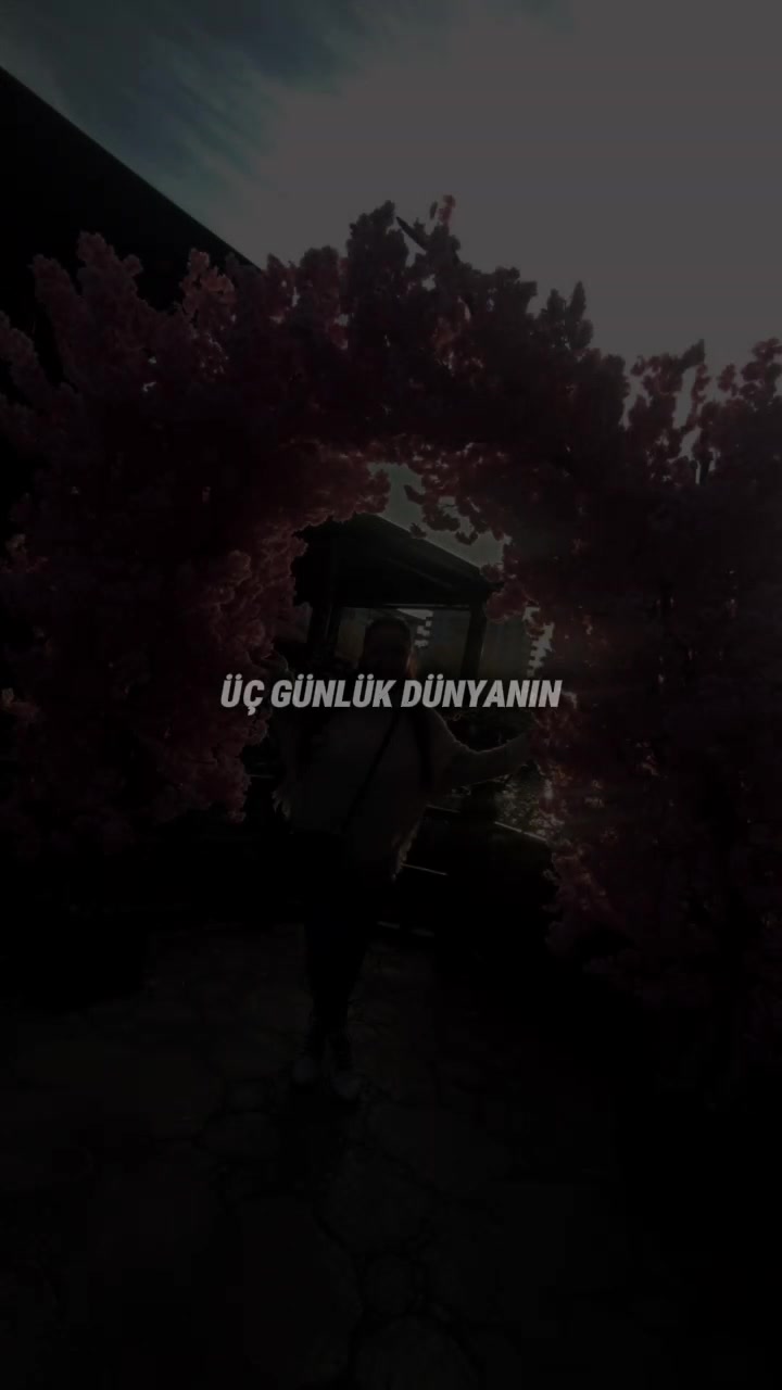 @gökcee:)