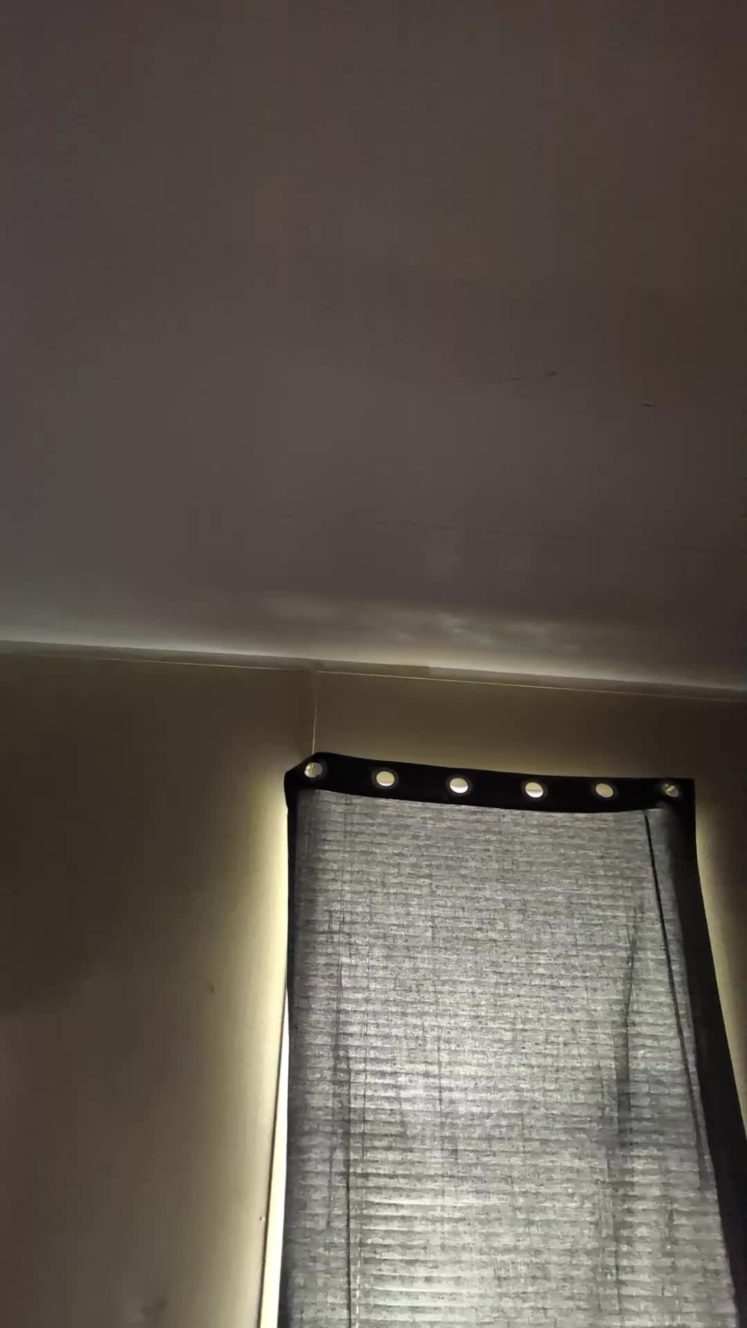 @invadergir616thejoker