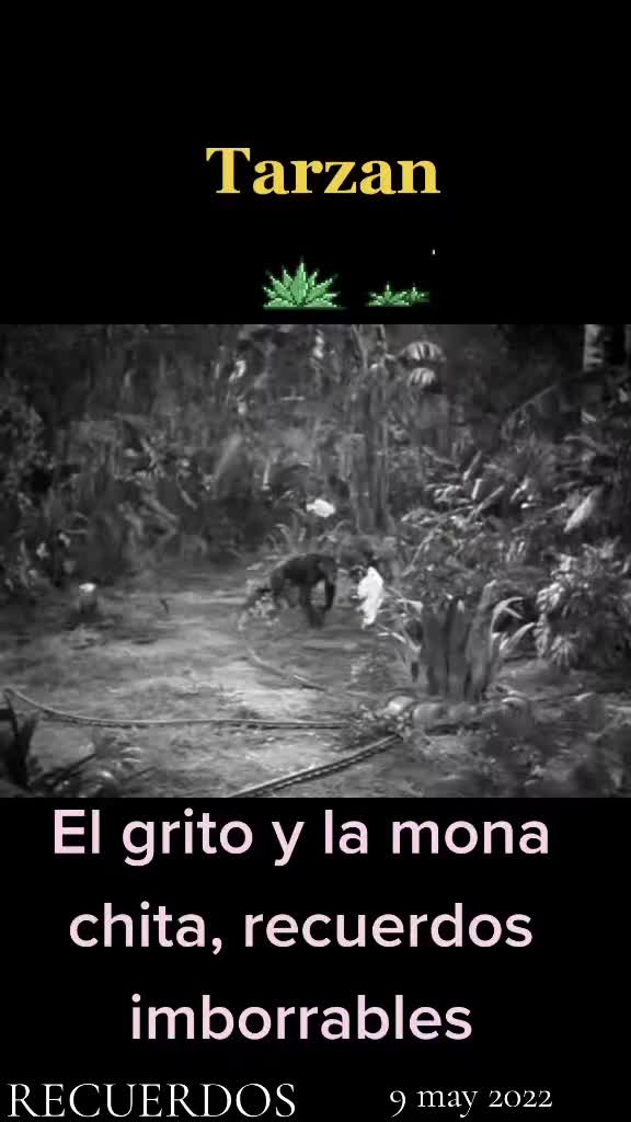 @Jesús🇪🇸