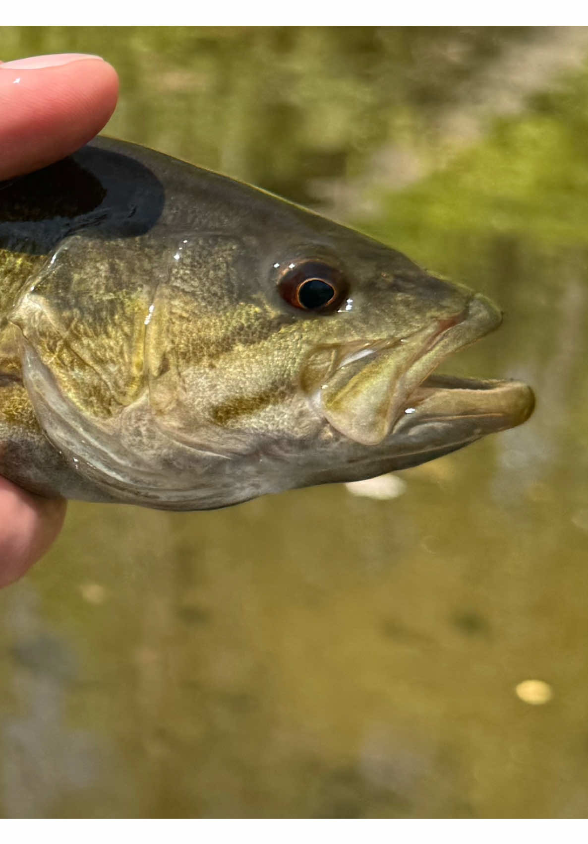 @FlyFishDelawhere