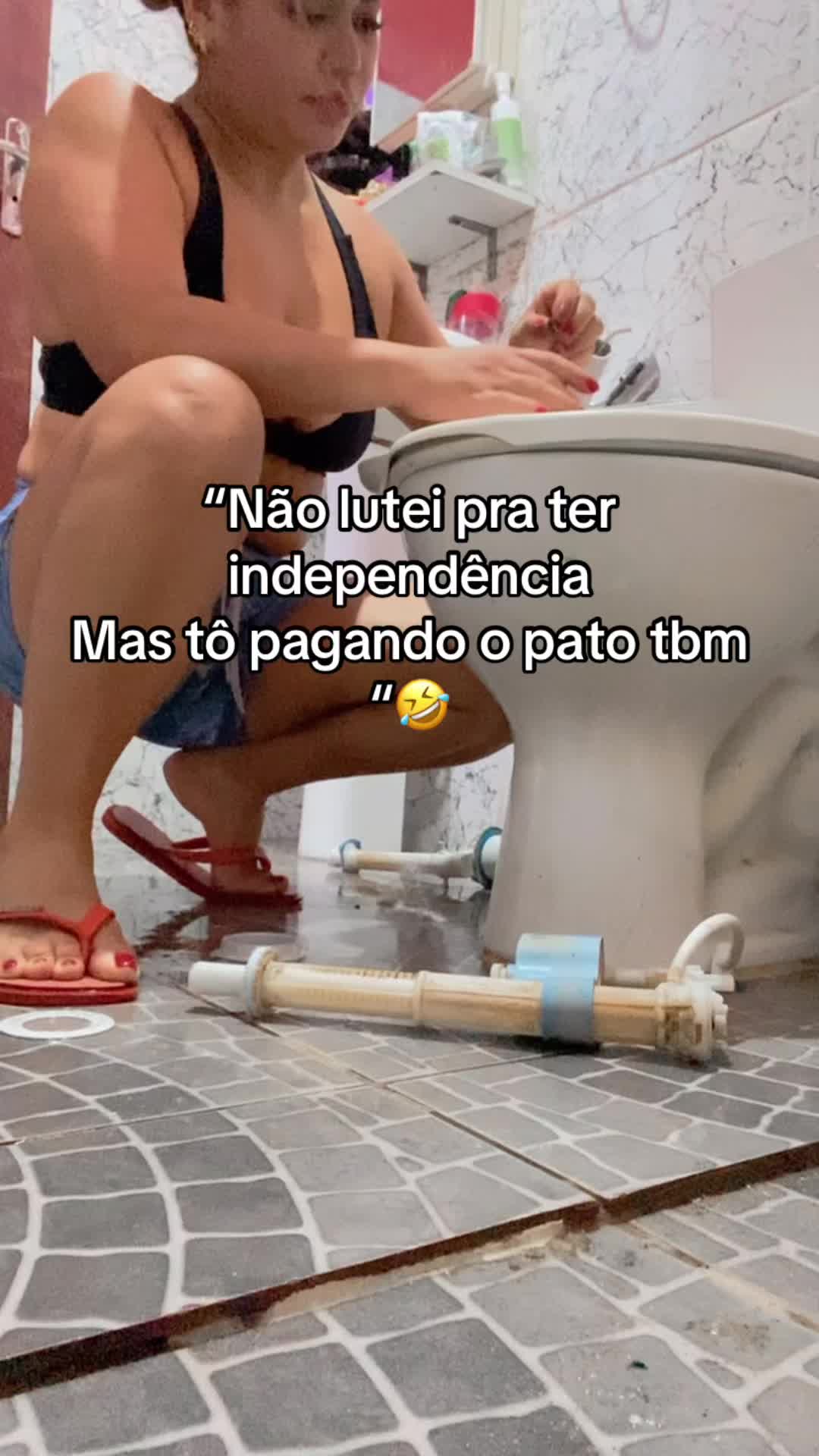 @carlaamaral549