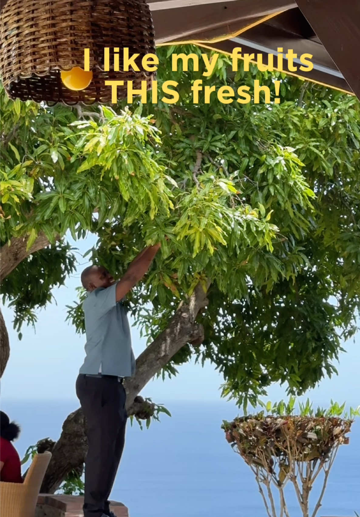 @estare