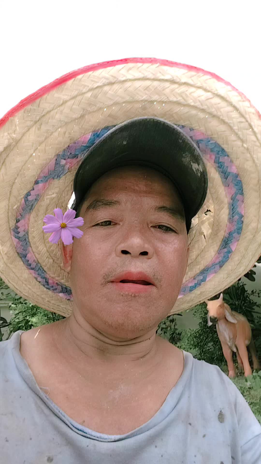 @saitai