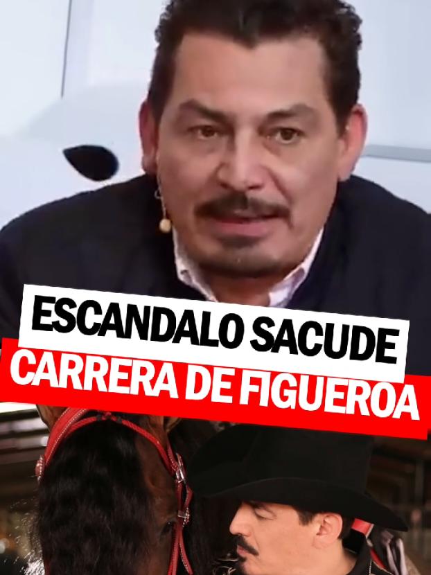 @‼️TELEFARANDULA‼️