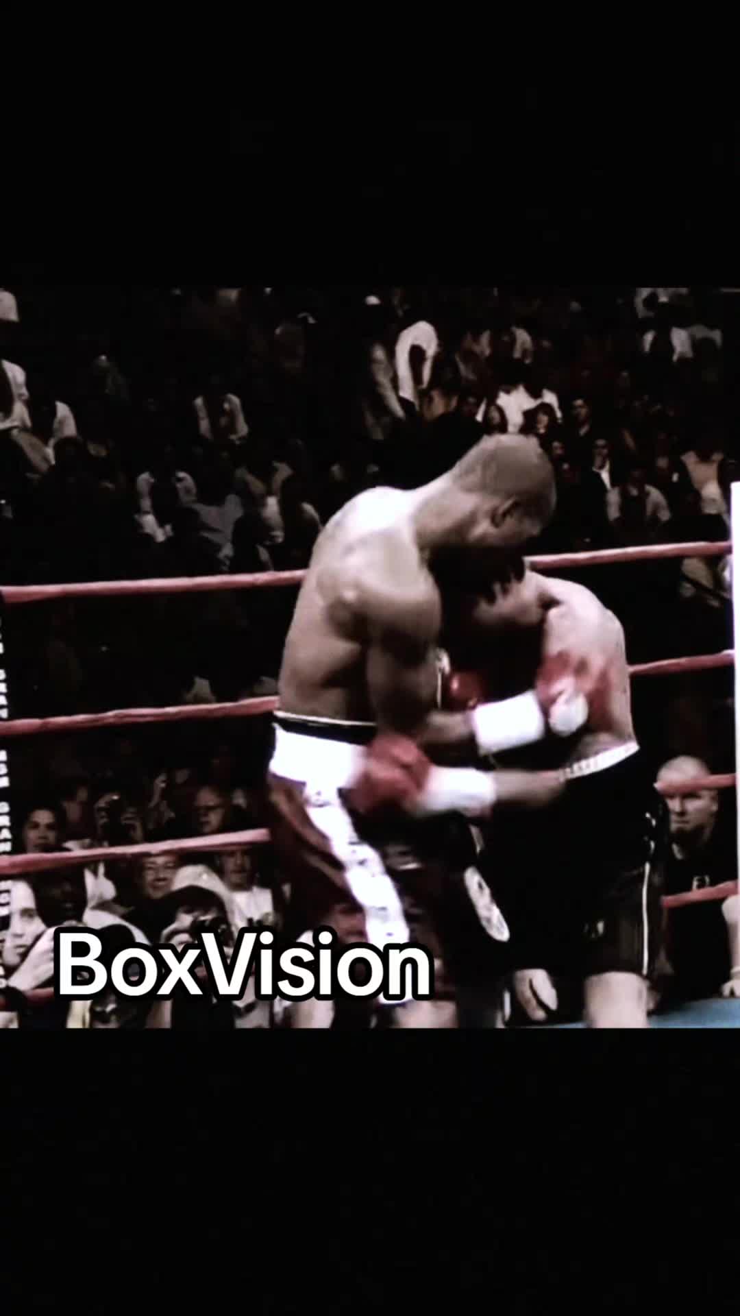@BoxVision