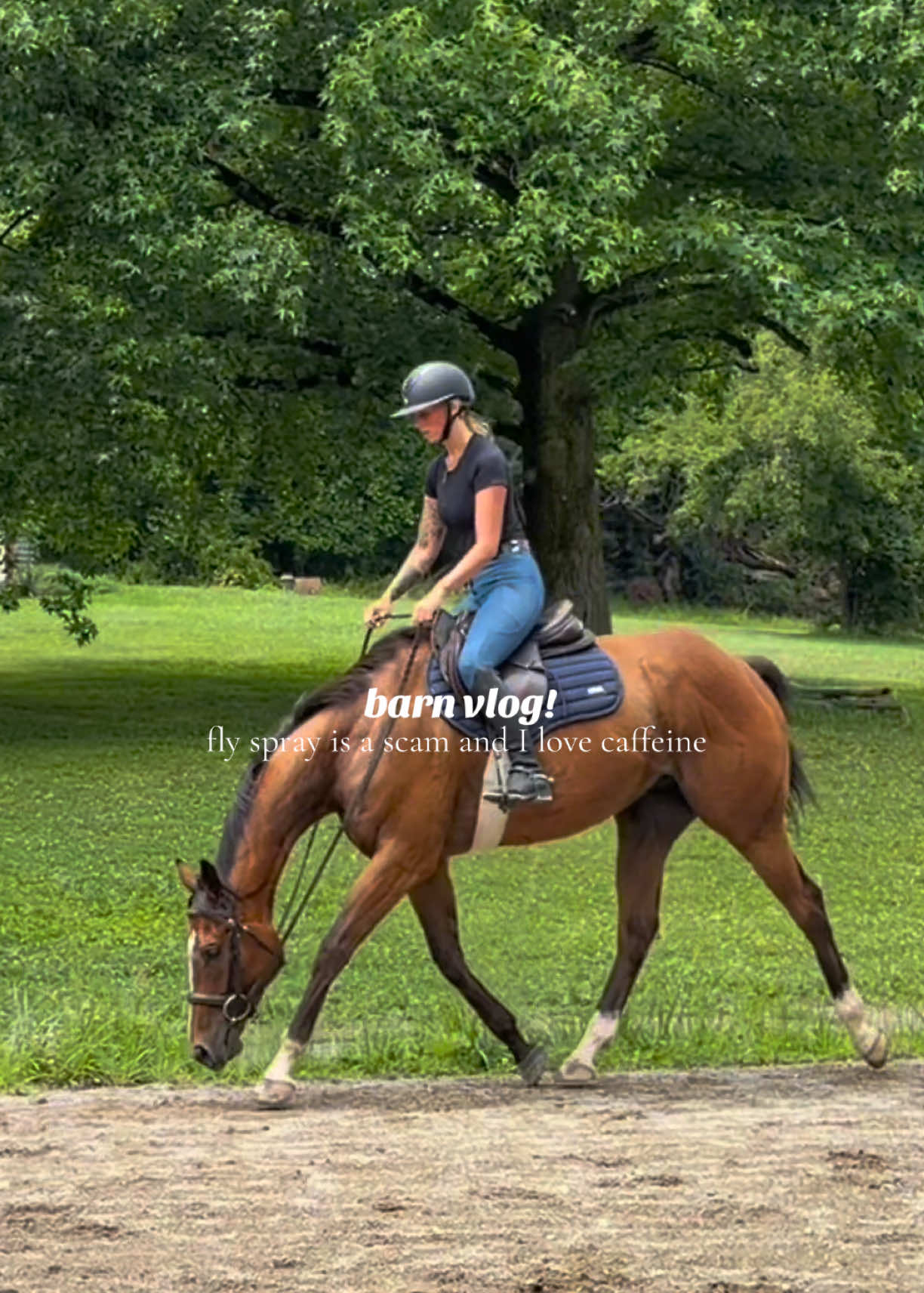 @Lunar Hill Equestrian