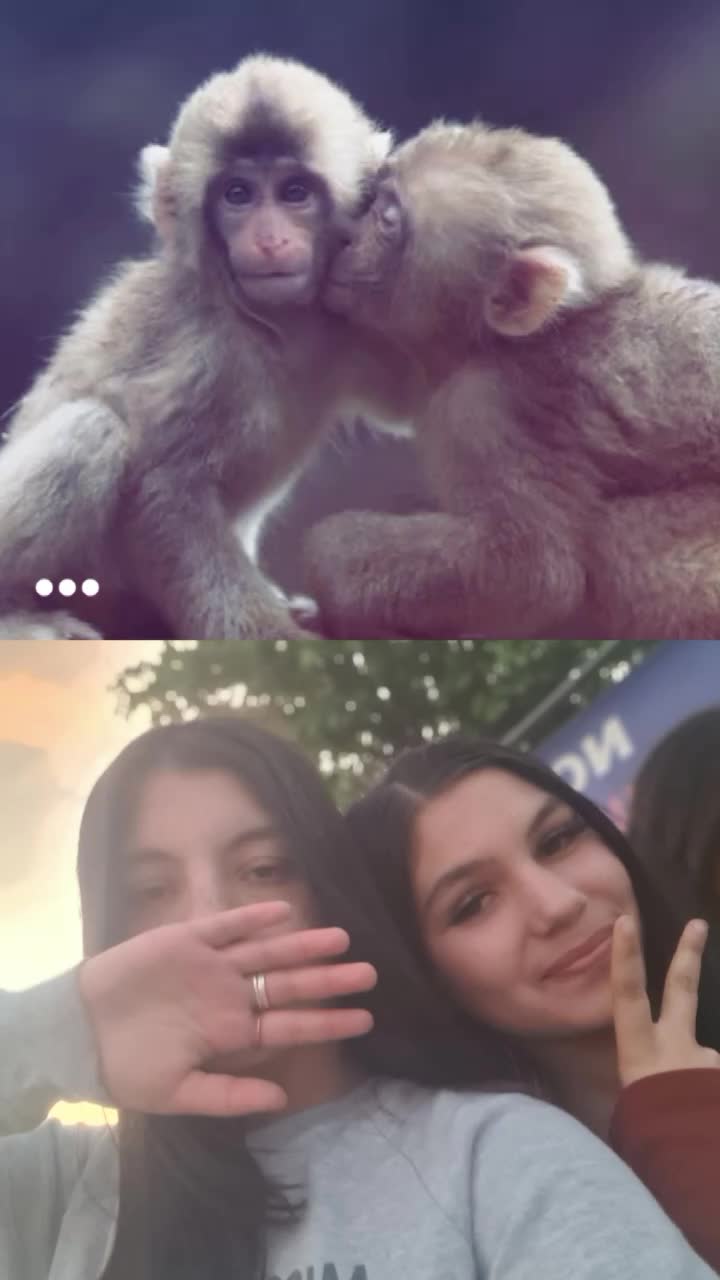@dominika matias❤