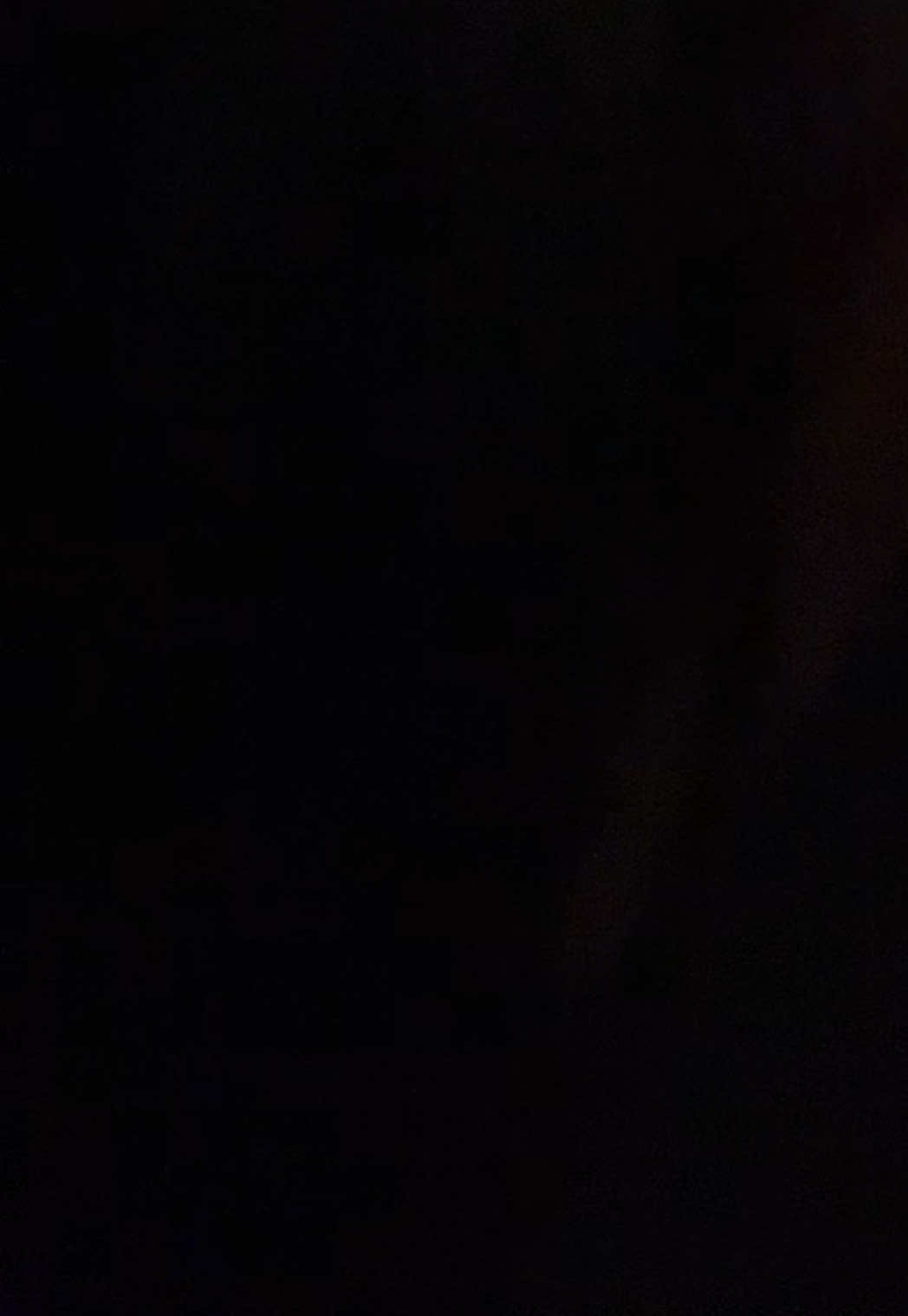 @thevaultofsofia