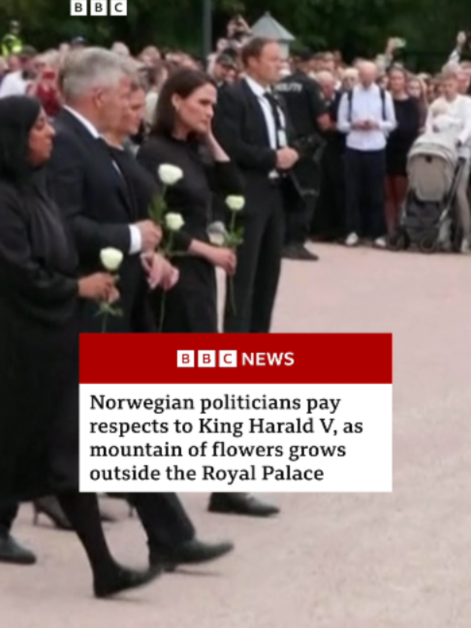 @BBC News