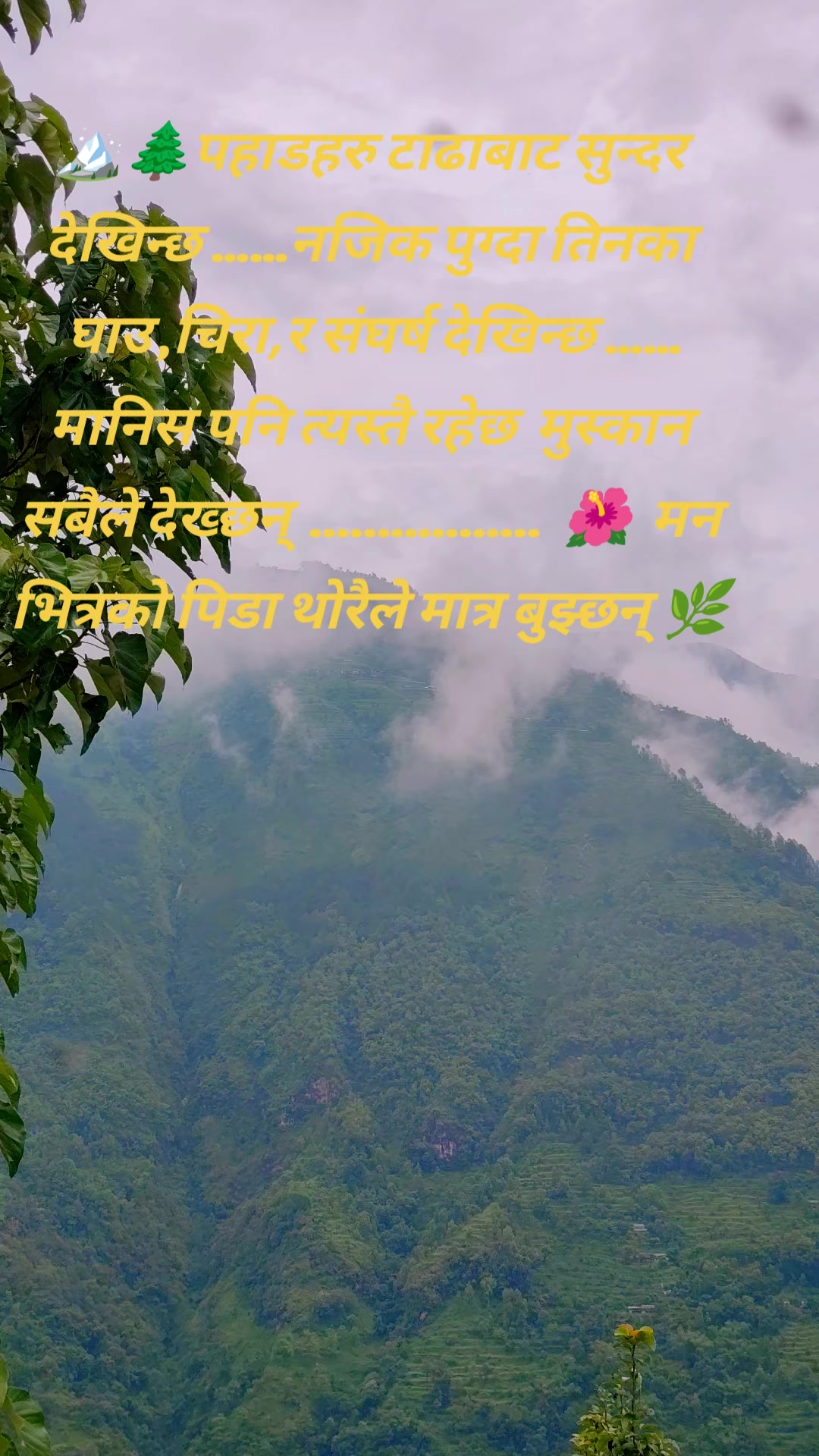 @🌷🌱 khu-si🌿🌲