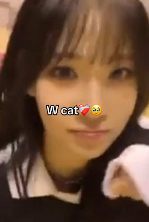 @๐ฝ๐๐ฆ๐ช