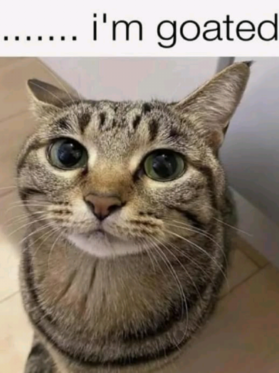 @zuffy?