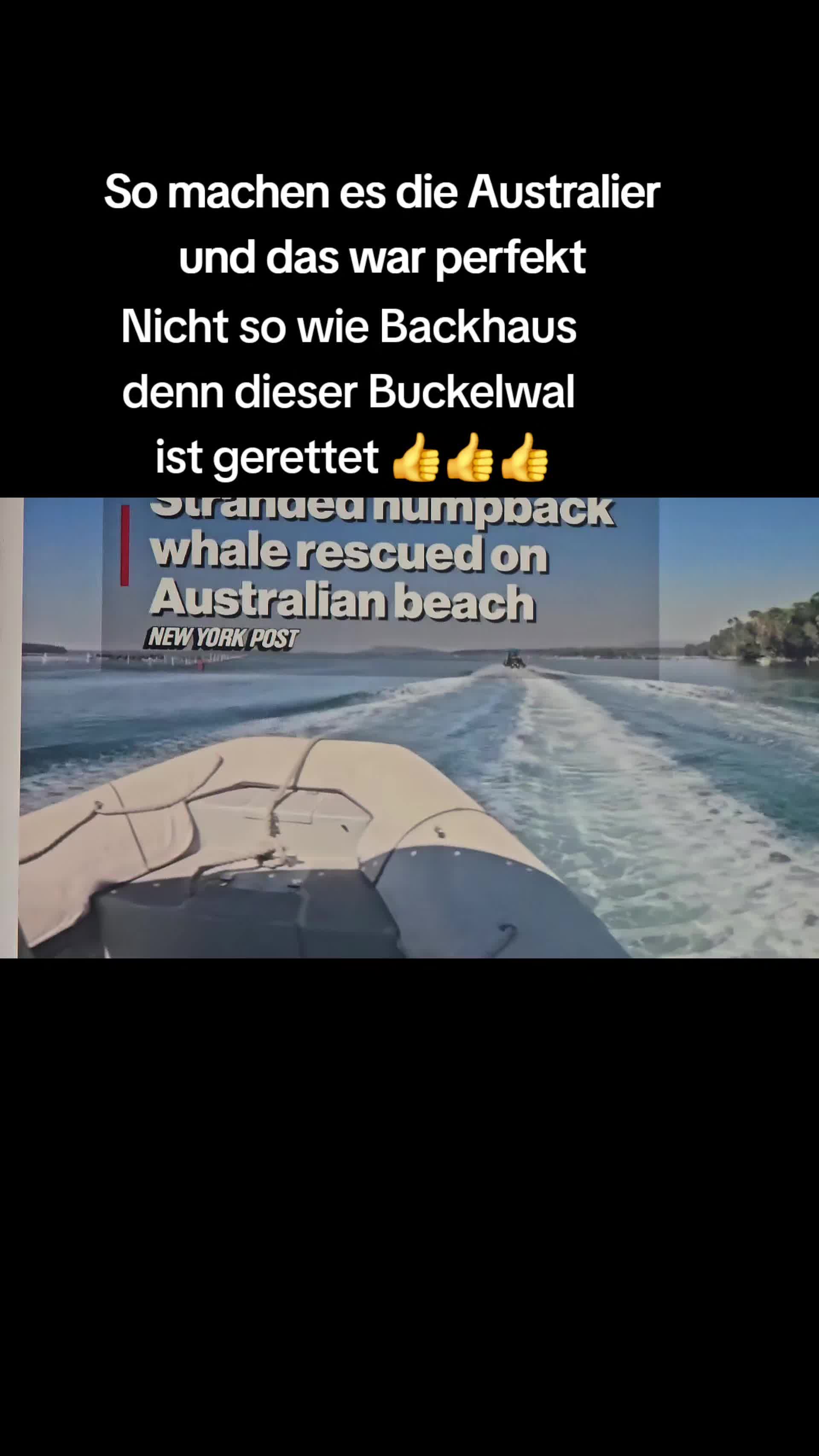 @Hope_for_the_Animals 🇦🇹