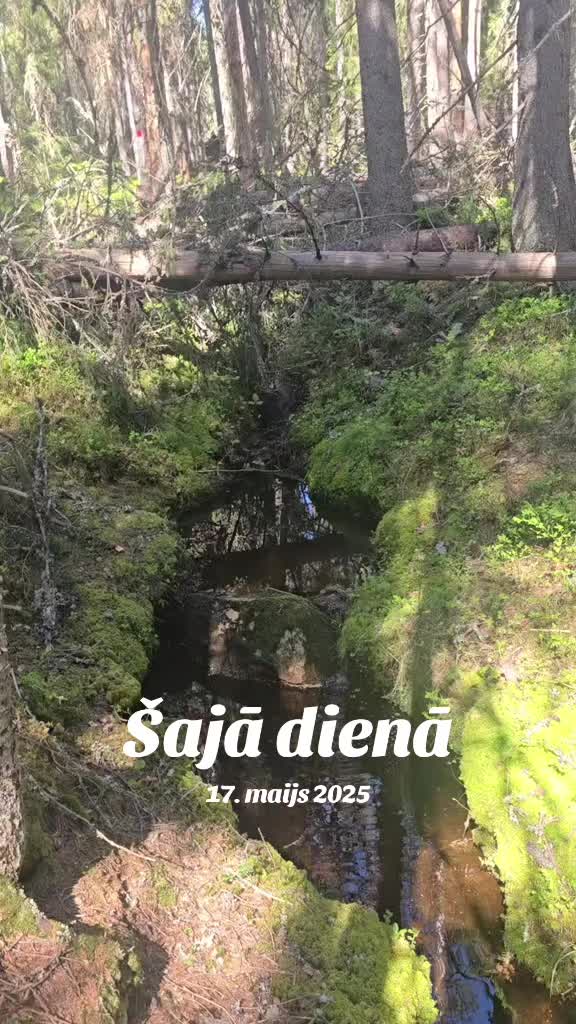 @Stjopa⭐️11:11🇱🇻🇸🇪