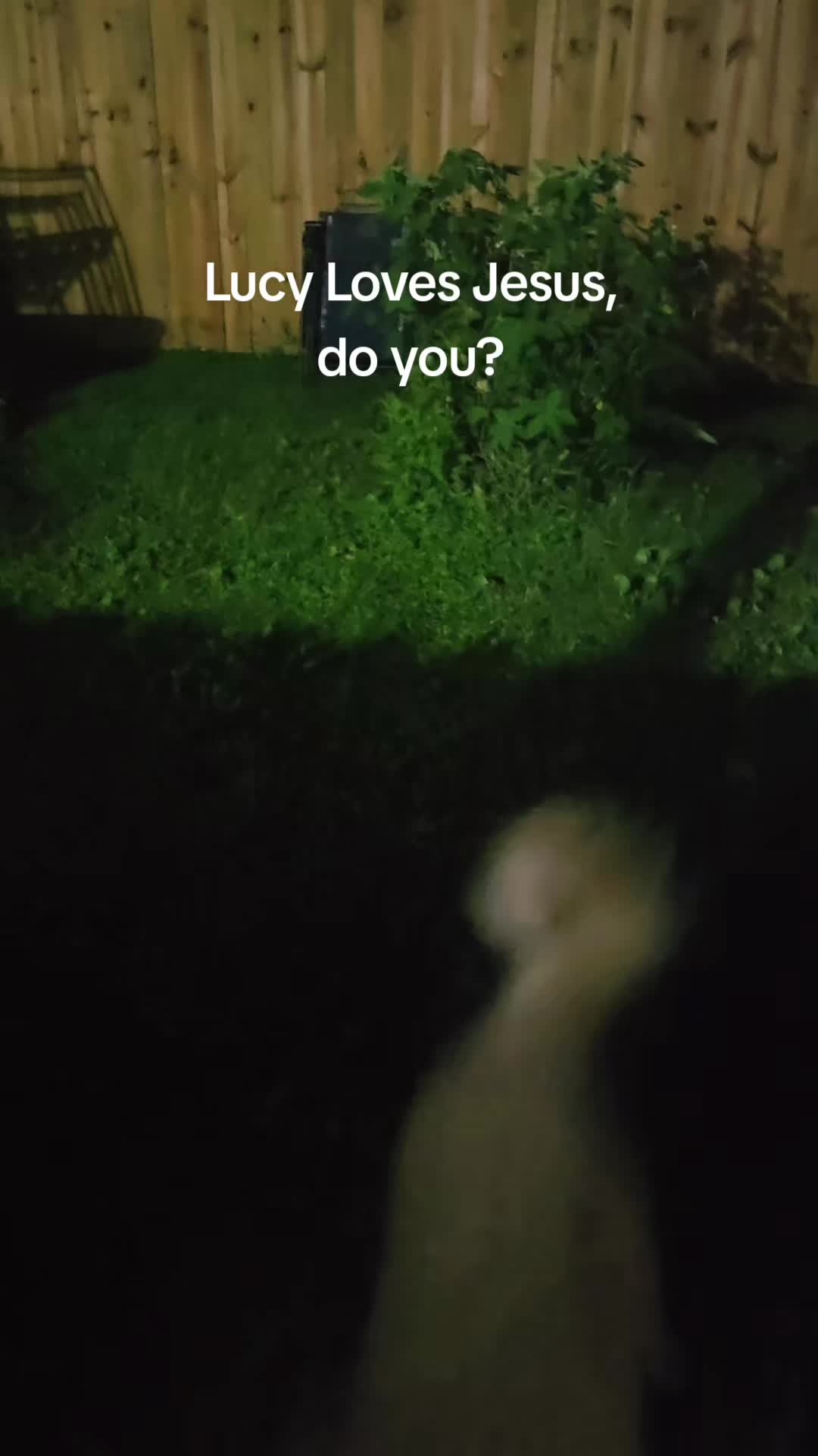 @MaryLynn