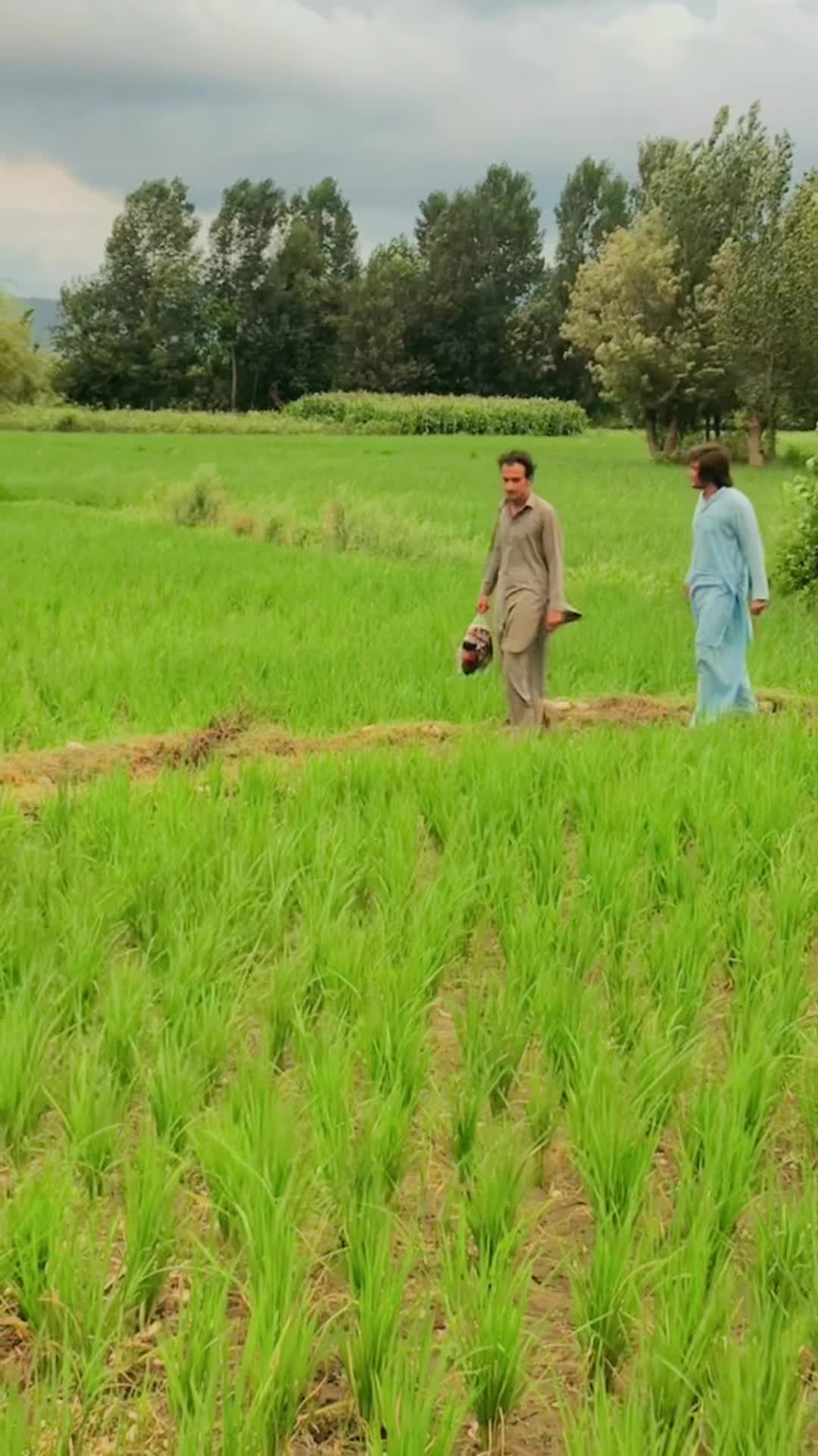 @Zia Khan