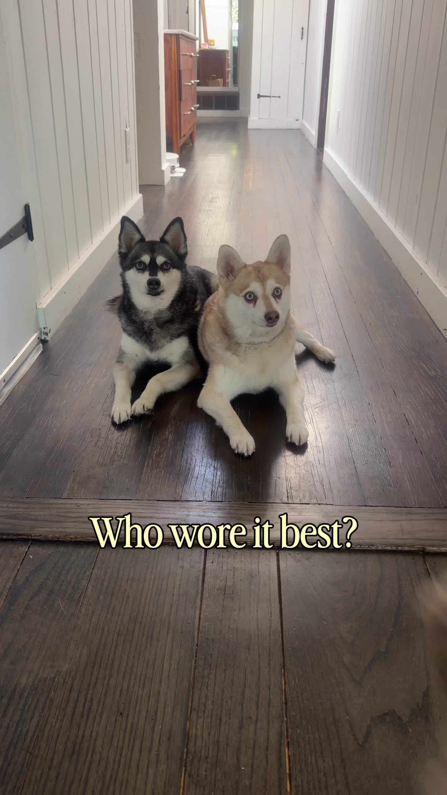 @lifewithkleekai