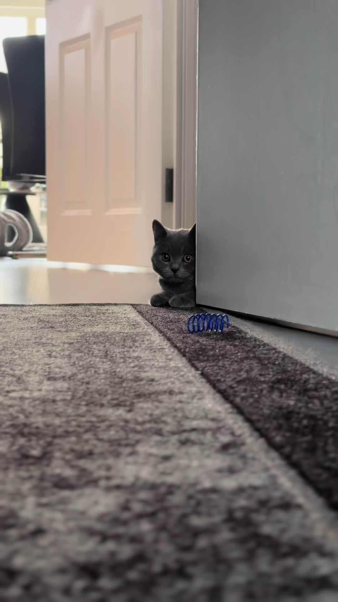 @GooseTheShortHair